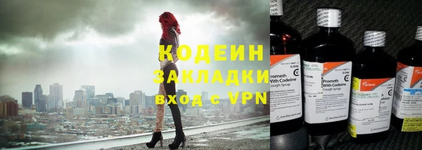твердый Лагань