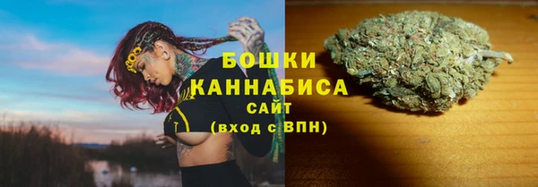 гидра Ладушкин