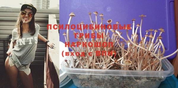 твердый Лагань
