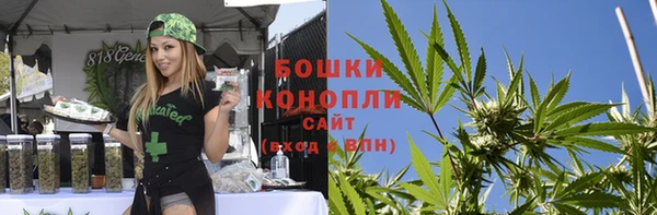 гидра Ладушкин