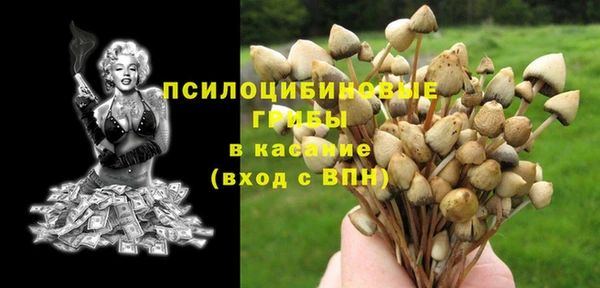 твердый Лагань