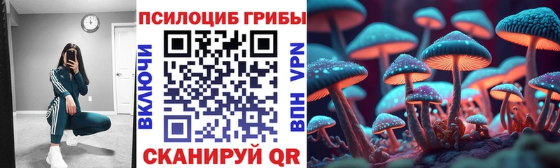 Купить где  Багратионовск  Галлюциногенные грибы Psilocybine cubensis 